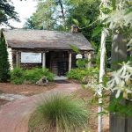 Cabin Outside