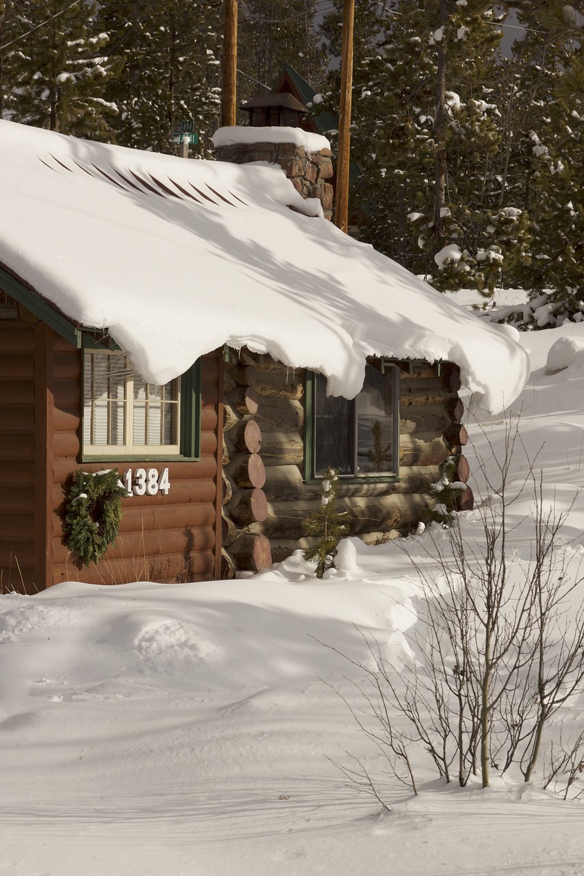Holidays at the Cabin
