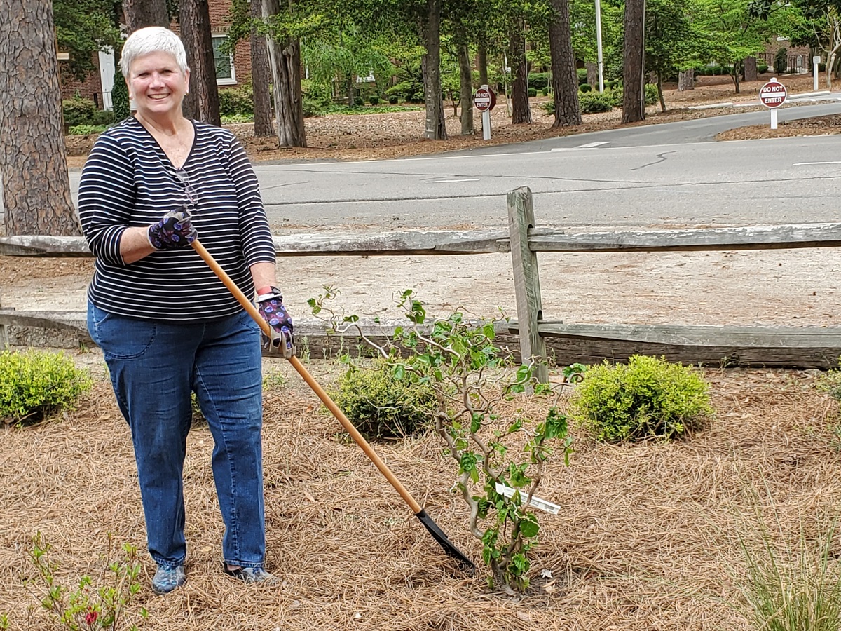 Sandhills Woman's Exchange Barb in new garden