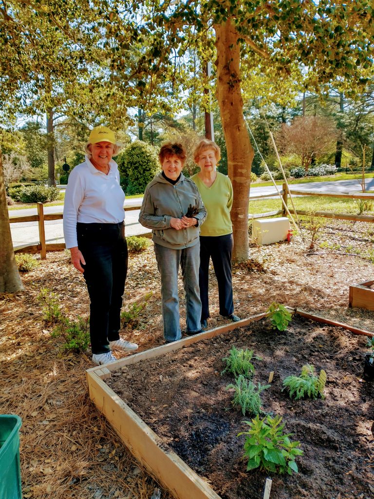 Herb Garden Planting