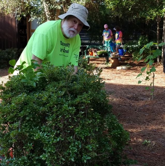 Garden Clean Up at the Cabin