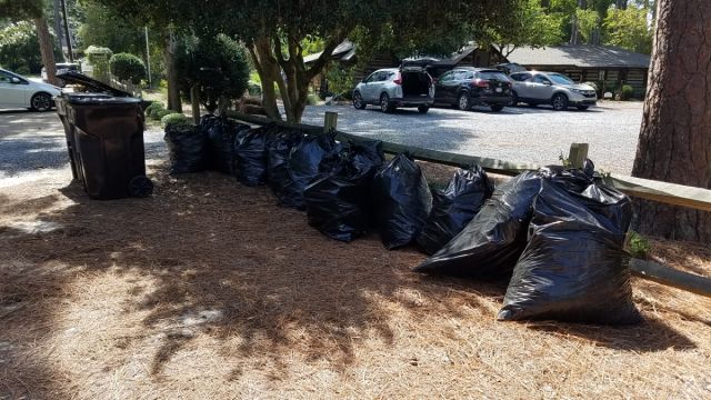 Garden Clean Up at the Cabin