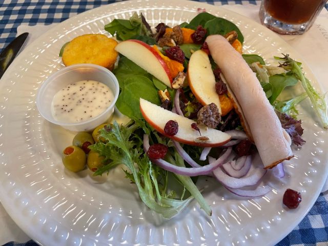 Creating a Continer Garden Lunch 'N Learn